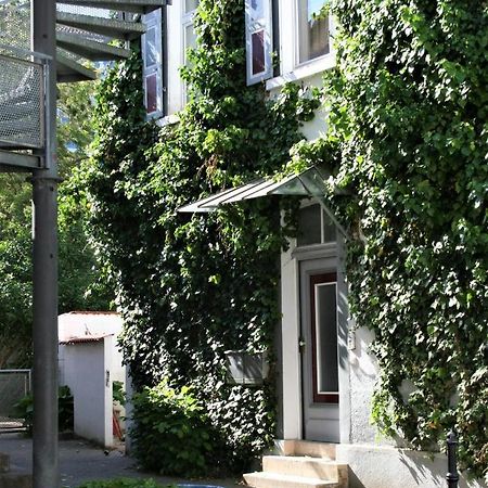 Kleiner Herrenhof Worms Kültér fotó
